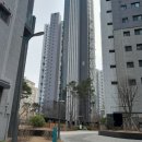 삼성동-34 이미지