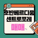 호반베르디움센트로포레 | 천안 호반베르디움센트로포레 34A 타입,고층매물