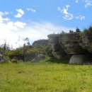 첨단분자생물의학연구소(주) | [매독] 5,500년 된 콜롬비아 유골에서 매독 박테리아 가장 오래된 증거 발견