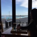 너구리와 여우소굴 | 제주도와의 마지막날 A