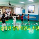 용인대명일태권도 이미지