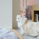 오뗄뒤샤 이미지