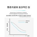 디사인