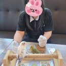 리프패럿광주 - 광산구 풍영로 43 | 리프패럿광주