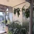 약촌삼계탕 이미지