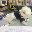 미공디자인 이미지