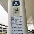 마리오카써비스 이미지