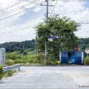 신기(새터) 이미지