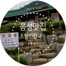 음성 맛집 초향기칼국수 방문