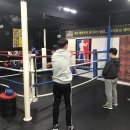 그레이트복싱짐 이미지