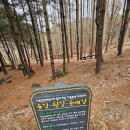 숨길+ 쉼길+ 순례길 이미지