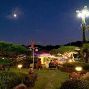 꽃다지 맞은편 이미지