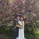 풍경 | w-8 대전 풍경사진관 촬영 후기