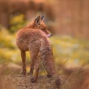 속초골프스쿨 이미지