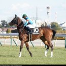 소신여객㈜ 이미지