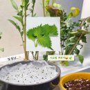 청자농장 이미지