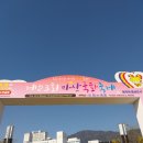 마산국화 축제 구경하러 오세요 이미지