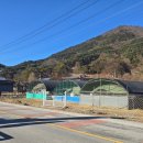 예민꿩농장 이미지