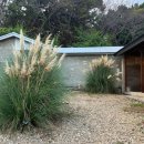 어반플랜트 수영 | 부산 수영 숨은 감성카페 : 어반플랜트 수영점🌿 내돈내산 후기