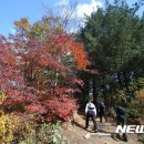 (주)쾌청