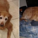 무지개다리 이미지