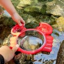 횡성병지방펜션 이미지