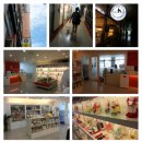 안나 제니 펫샵 이미지