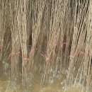 서촌농장 이미지