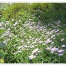 김광수 농장 이미지