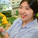 다래유통 이미지