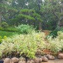 소소리농장 이미지