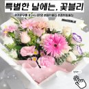 희망을 싹틔우는 자연이야기 | 동탄꽃집 꽃블리, 24시 연중 무휴 남편을 위한 깜짝 선물 가성비 꽃다발 제작 후기