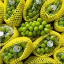 하이오커피 군산디오션시티점 | 룰루랄라 잘먹고 다니는 나의 근황