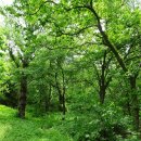 한티가는길 이미지