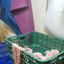 서부유통 이미지