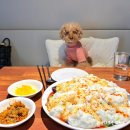 세븐일레븐 안산초지로점 | [안산] 애견동반 초지동중국집 초지화과왕, 특별했던 게살삼슬