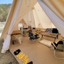 스테이독 이미지