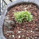 동운고가 이미지