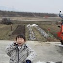 롱다리