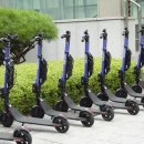 전동숲