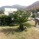 형주병원 이미지