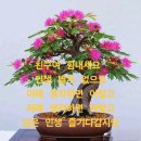 "찬 것이 좋아지는 때를 조심하자" (국민 건강검진센터 직원일동) 이미지