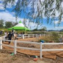 순천만힐링 이미지