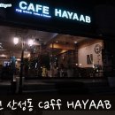 하야아브