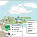 자라섬캠핑장 이미지