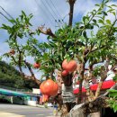 장수로19번길 이미지