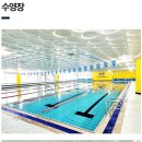 노블스포렉스수영장 이미지