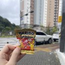 싱푸마라앤꼬치