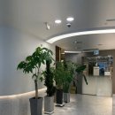 SM치과의원 이미지