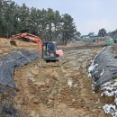 자연부화장 이미지